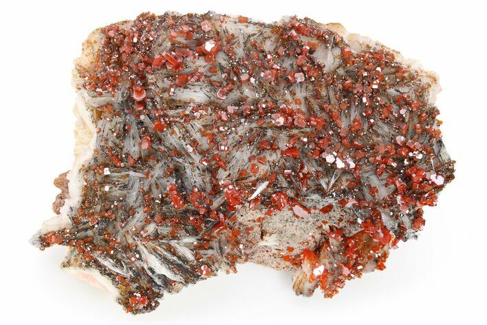 Top-Quality, Deep Red Vanadinite Crystals on Barite - Morocco #255539